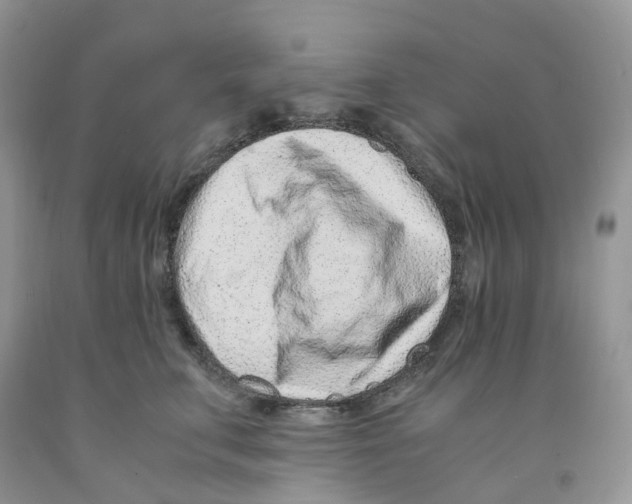 X0000091300711200709071053