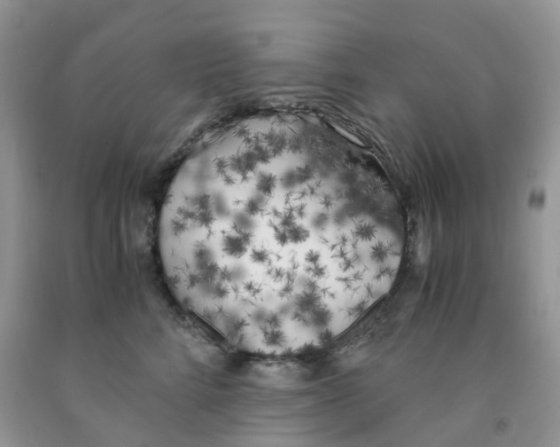 X0000091300712200709071053