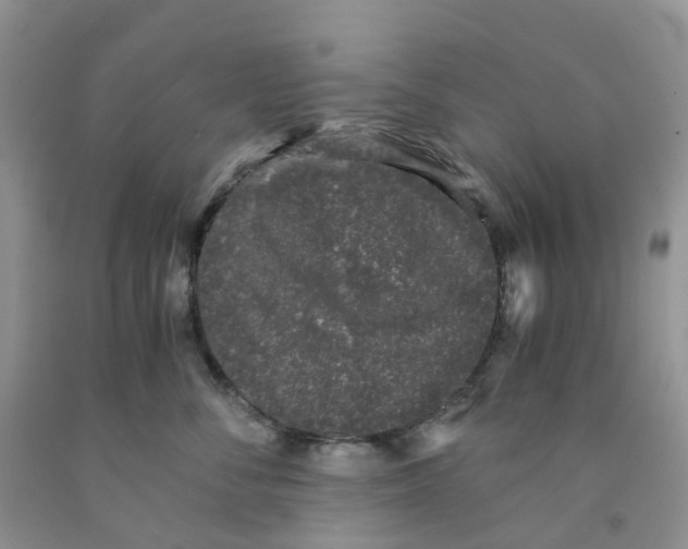 X0000091300716200709071053