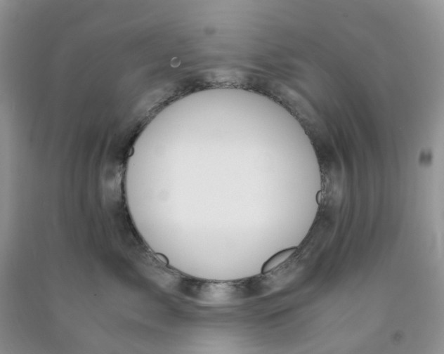 X0000091300717200709071053