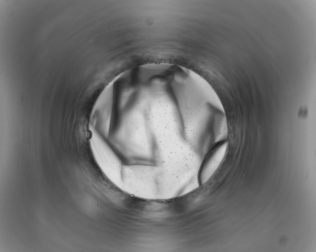 X0000091300718200709071053