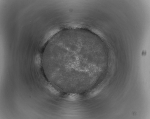 X0000091300720200709071053