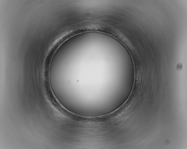 X0000091300722200709071052