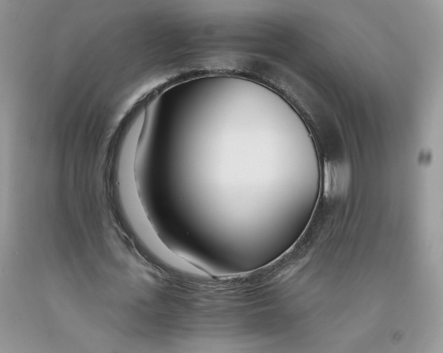 X0000091300723200709071052