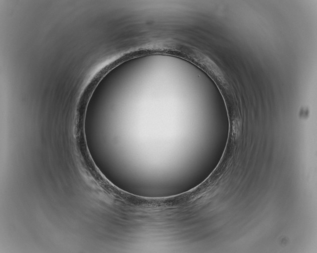 X0000091300724200709071052