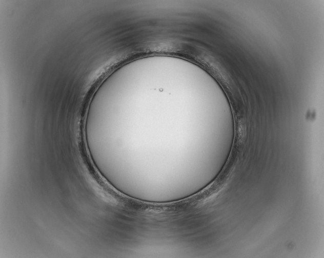 X0000091300725200709071052