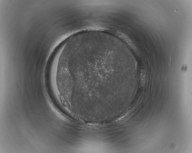 X0000091300726200709071052