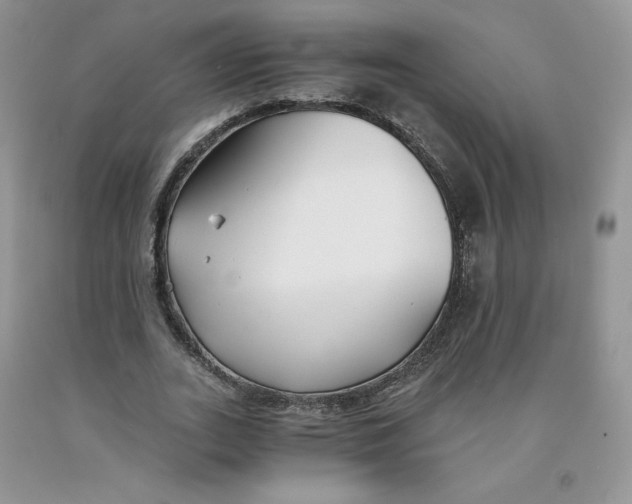 X0000091300727200709071052