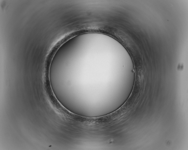 X0000091300728200709071052