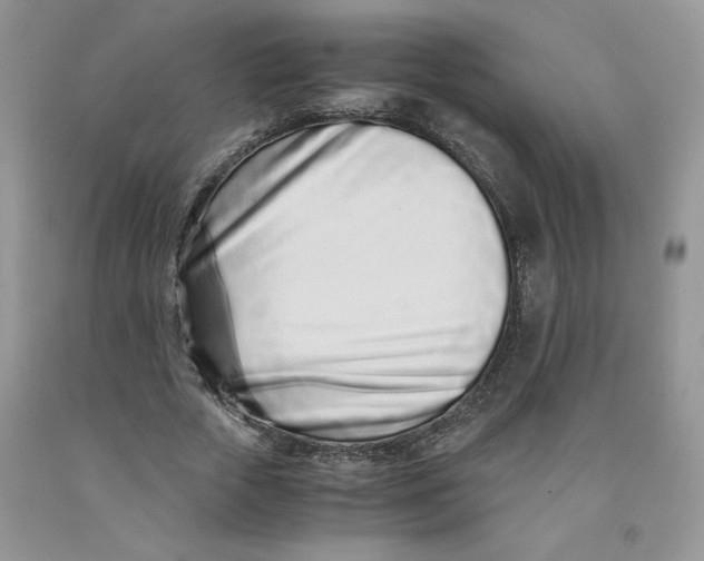 X0000091300729200709071052