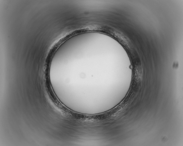 X0000091300730200709071052