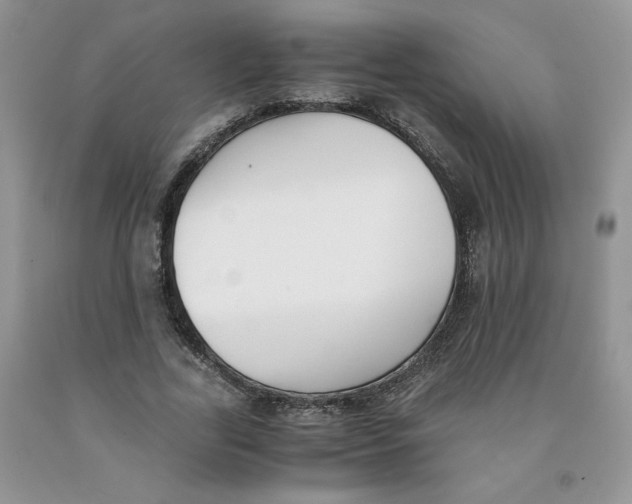 X0000091300731200709071052