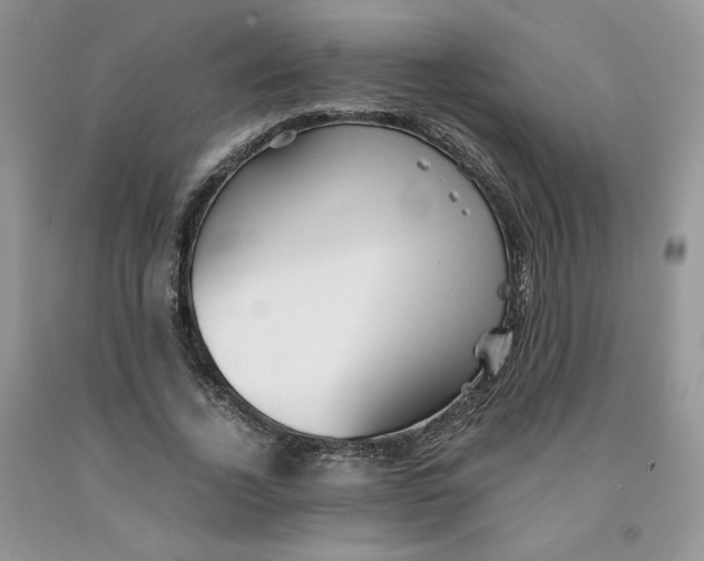 X0000091300732200709071052