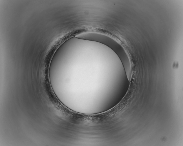 X0000091300736200709071052