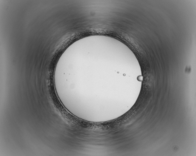 X0000091300738200709071052