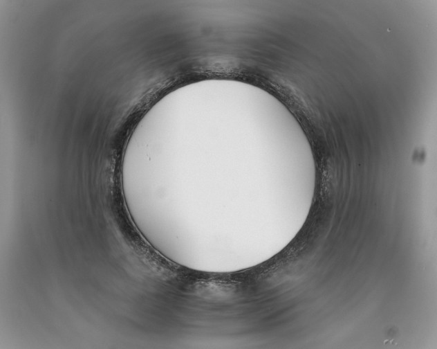 X0000091300739200709071052