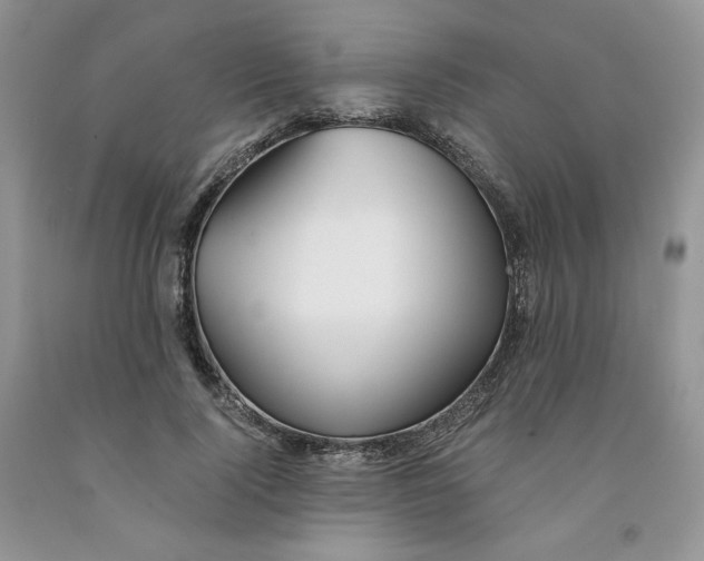 X0000091300740200709071052