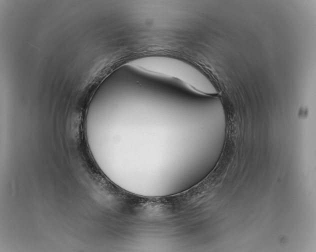 X0000091300742200709071052