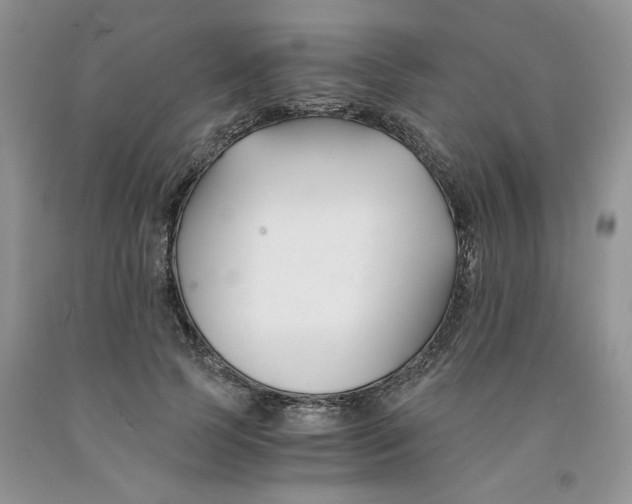 X0000091300745200709071053