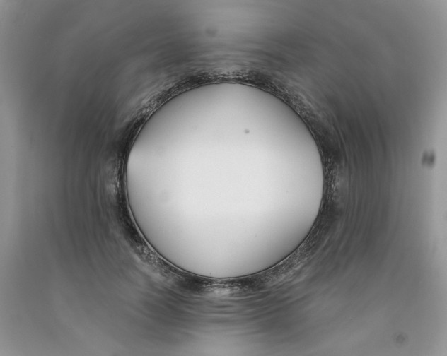 X0000091300746200709071053