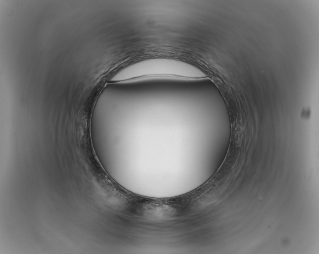 X0000091300747200709071053