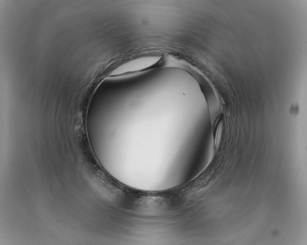 X0000091300748200709071053