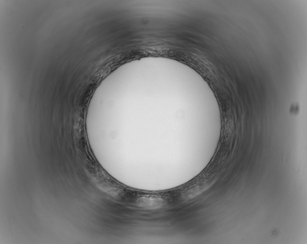 X0000091300749200709071053