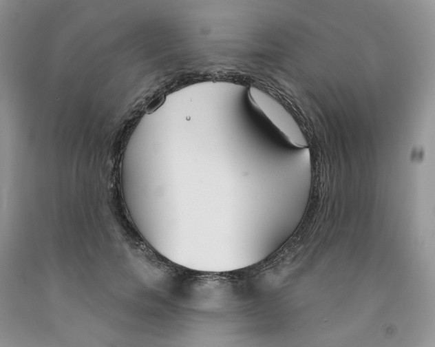 X0000091300750200709071053