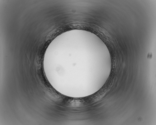 X0000091300751200709071053