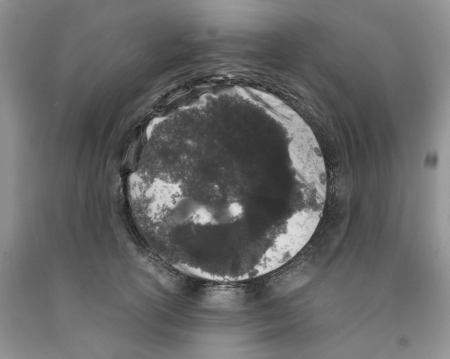 X0000091300754200709071053