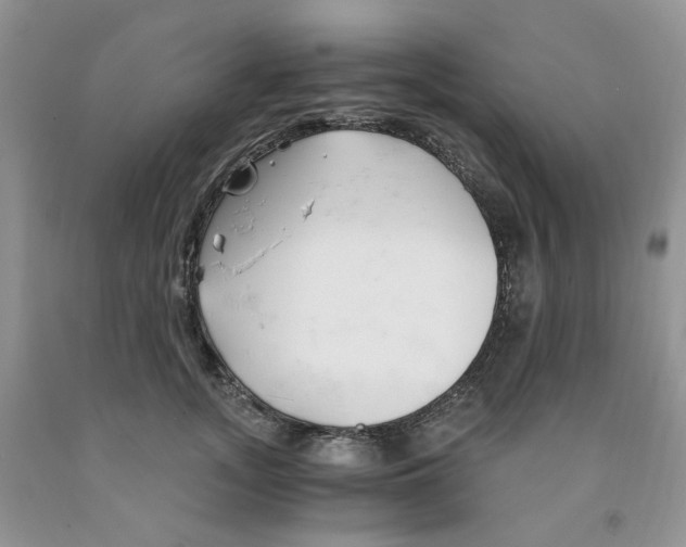 X0000091300755200709071053