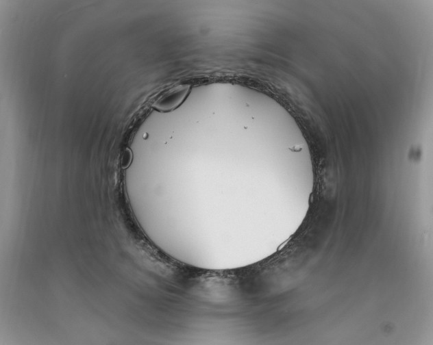 X0000091300756200709071053