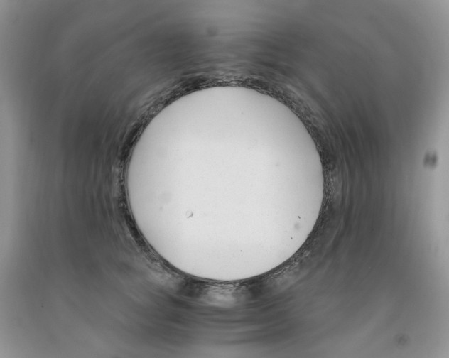 X0000091300757200709071053