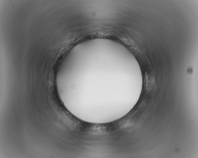 X0000091300760200709071053