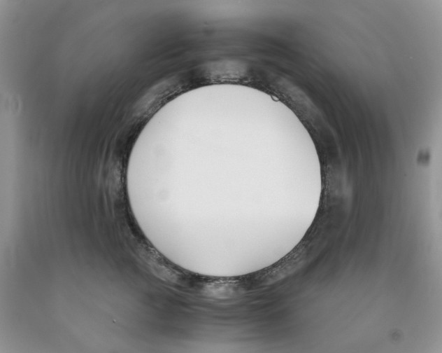 X0000091300761200709071053