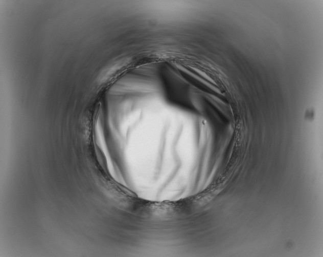 X0000091300762200709071053