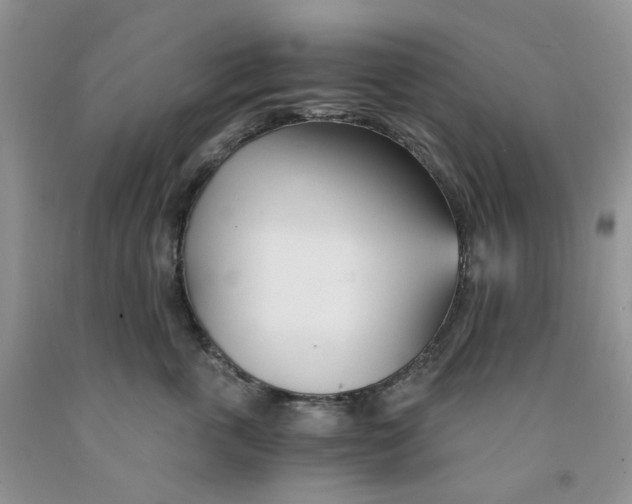 X0000091300763200709071053