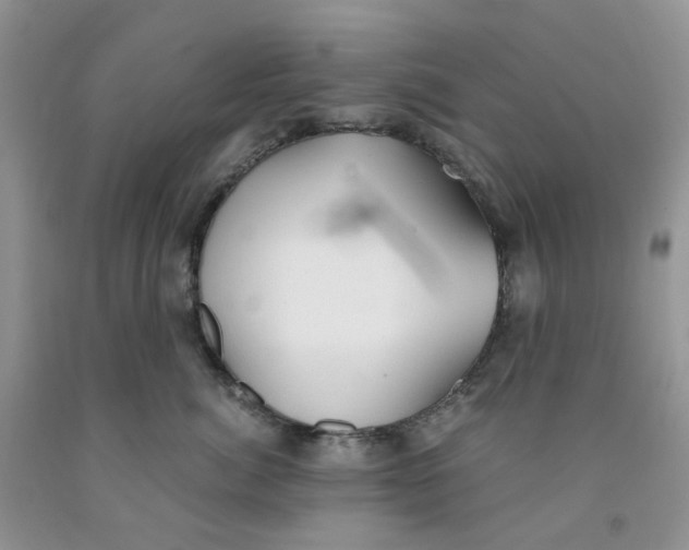 X0000091300764200709071053