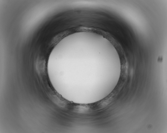 X0000091300765200709071053