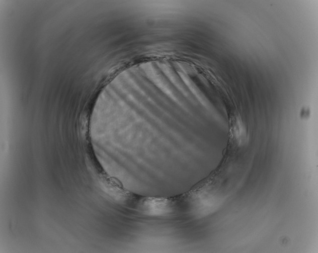 X0000091300767200709071053