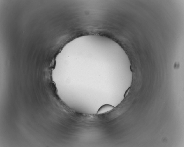 X0000091300768200709071053