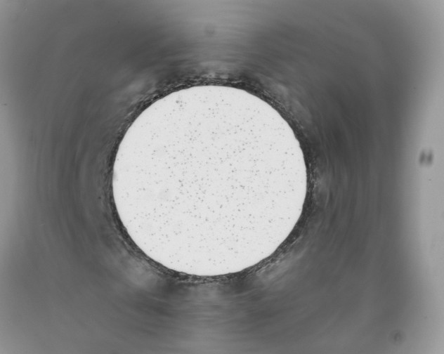 X0000091300769200709071052