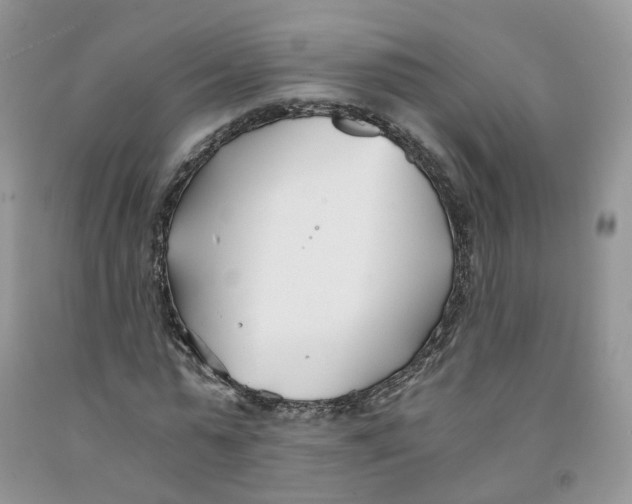 X0000091300775200709071052