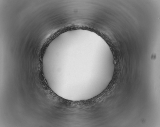 X0000091300776200709071052