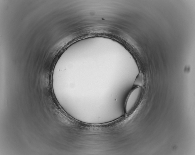 X0000091300777200709071052