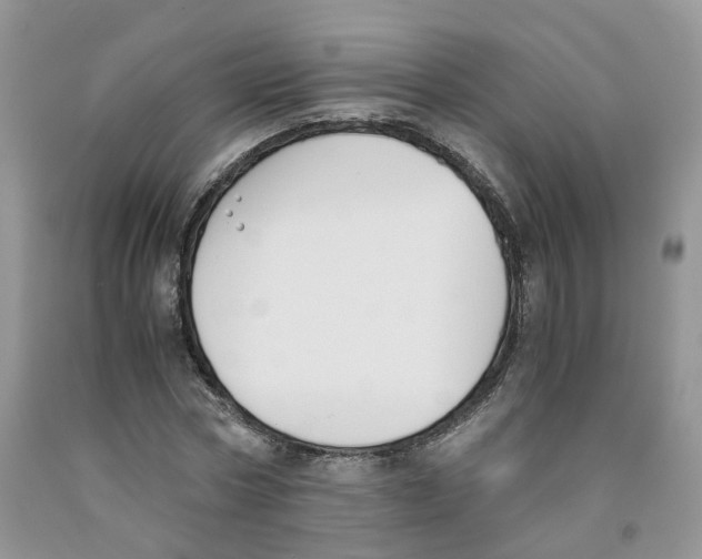 X0000091300778200709071052