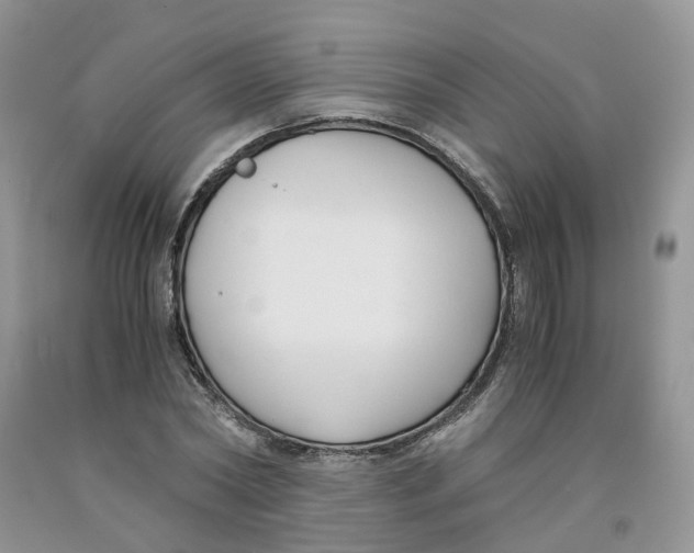 X0000091300782200709071052