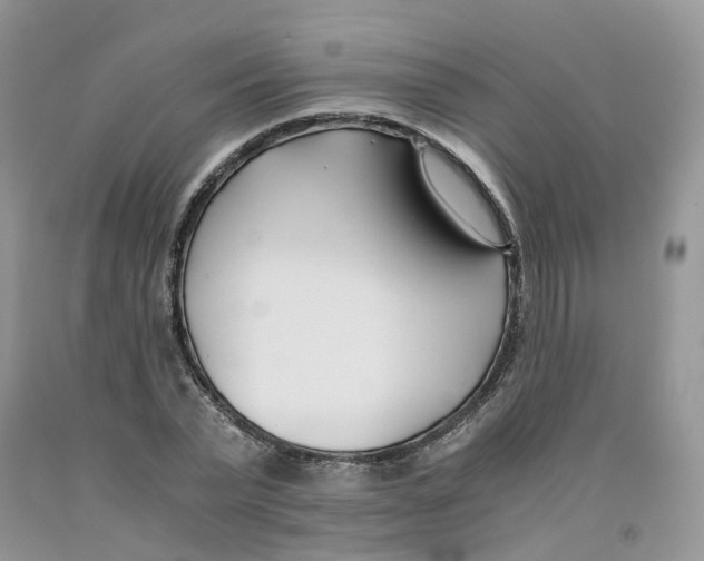 X0000091300783200709071052