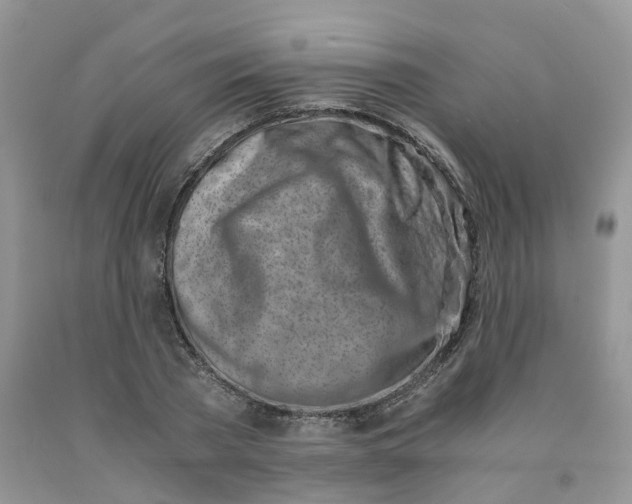 X0000091300785200709071052