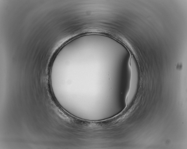 X0000091300787200709071052